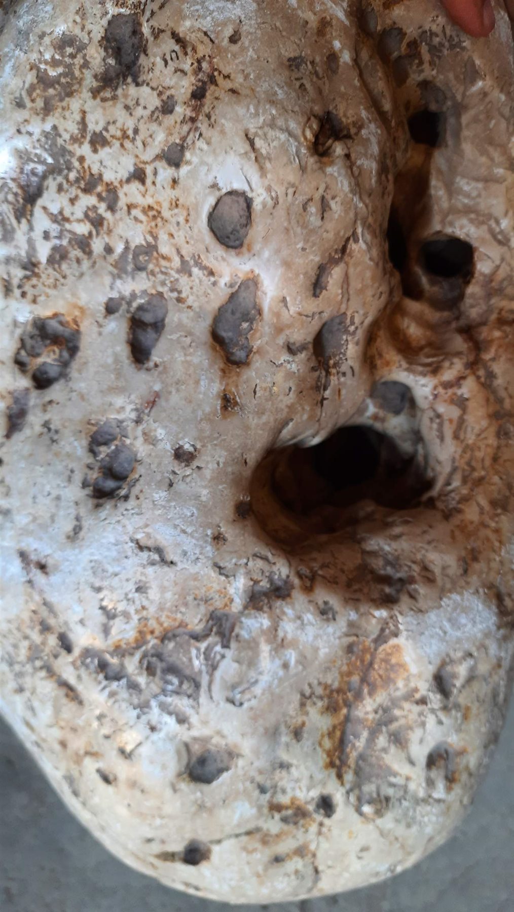 0_٢٠٢١٠٨٠٣_١٢٤٣٤٥_١١٤٤٤٤