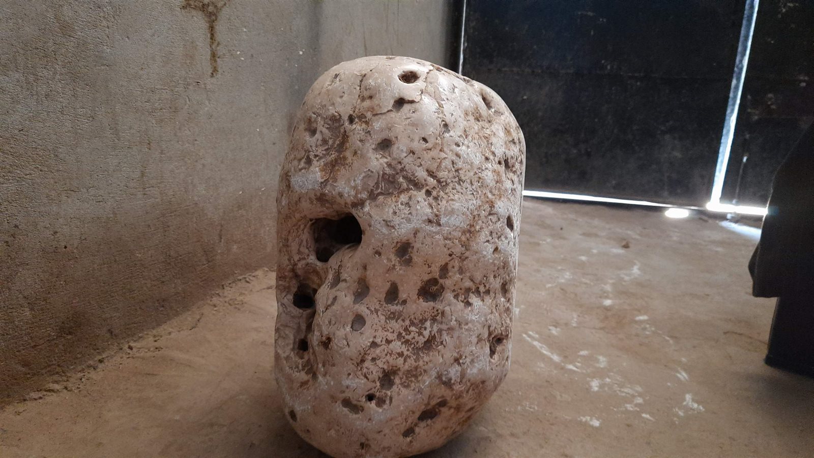 0_٢٠٢١٠٨٠٣_١٣٢٩٠٩_١١٤٤٣٧