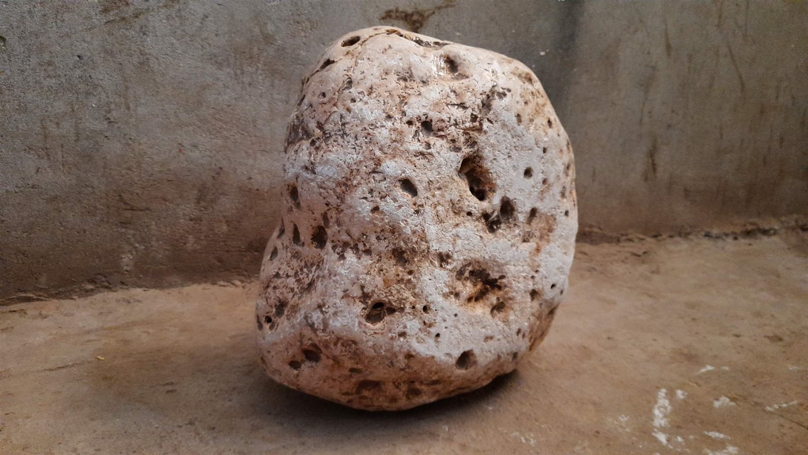 0_٢٠٢١٠٨٠٣_١٣٢٩٢٤_١١٤٤٢٤