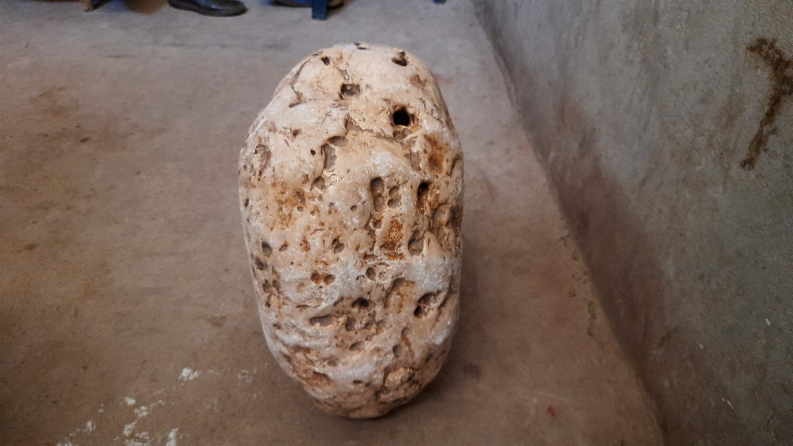 0_٢٠٢١٠٨٠٣_١٣٢٩٣٧_١١٤٤٢٠