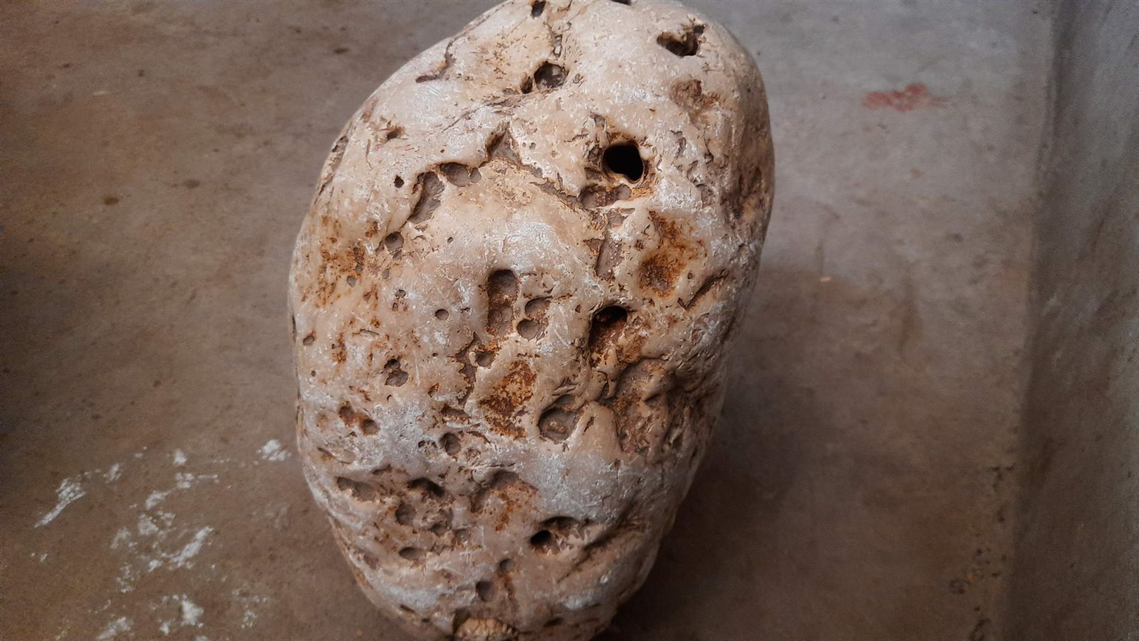 0_٢٠٢١٠٨٠٣_١٣٢٩٤٥_١١٤٤١٥