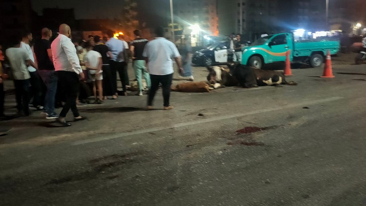 ارتباك حركة النقل والمواصلات بطريق الزراعي بالغربية 