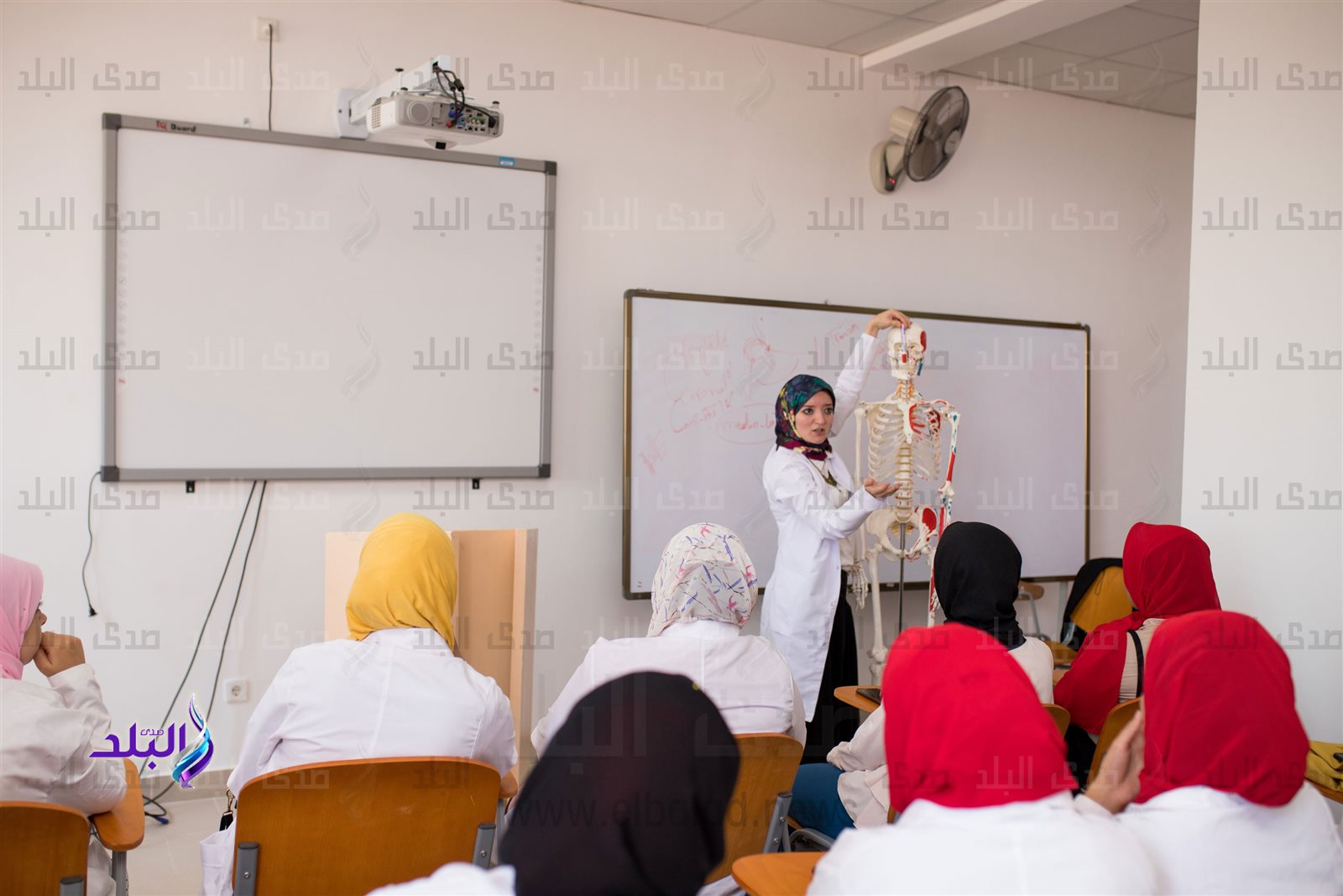 تنسيق الجامعات 2022