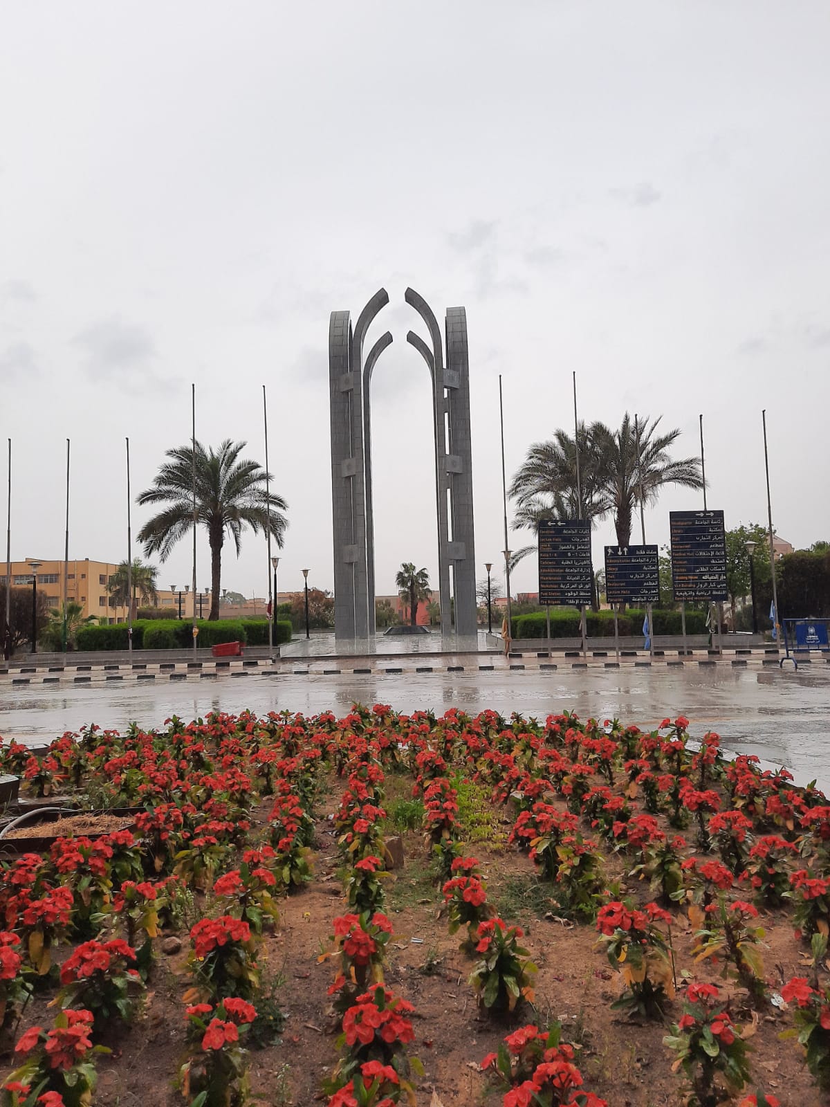 جامعة حلوان