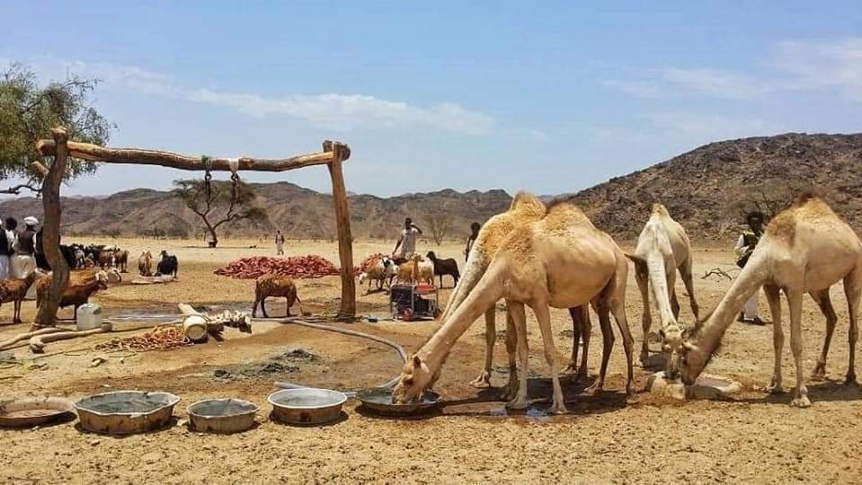 صورة موضوعية 