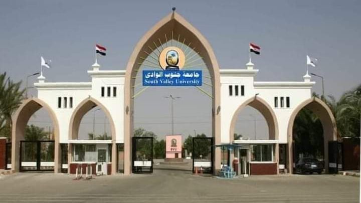 جامعة جنوب الوادى