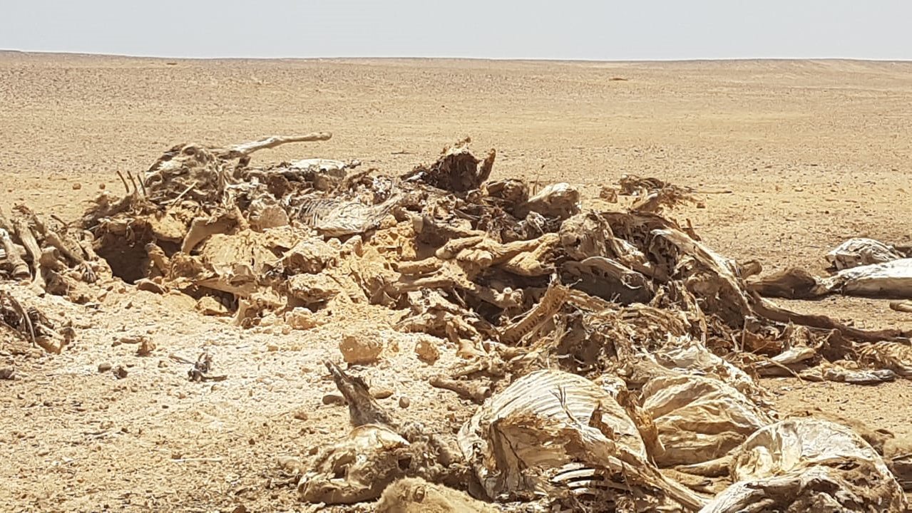 مقبرة حمير