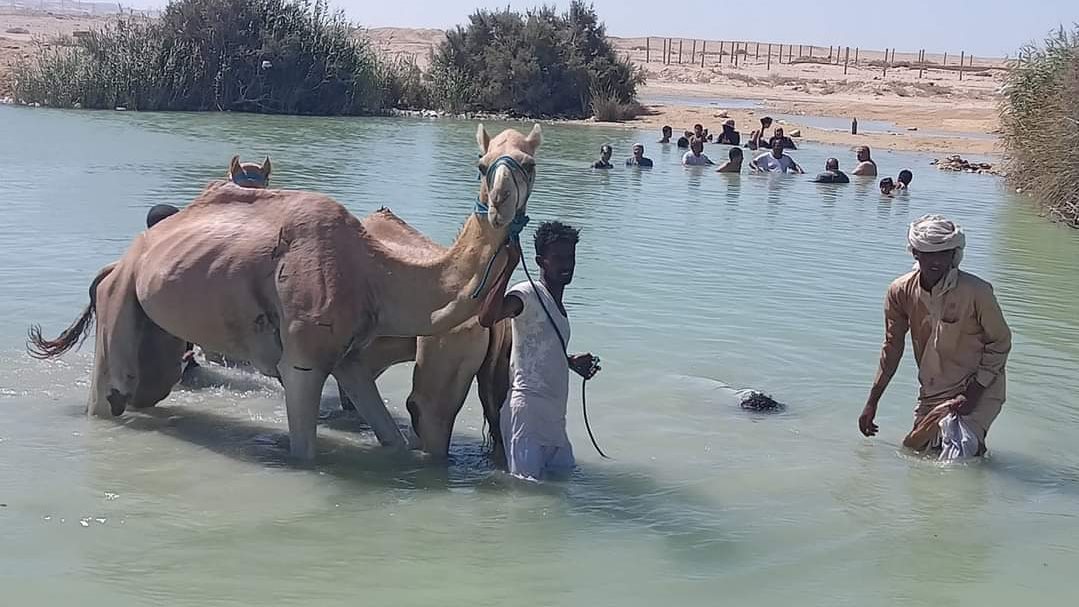 الجمال في العيون الكبريتية 