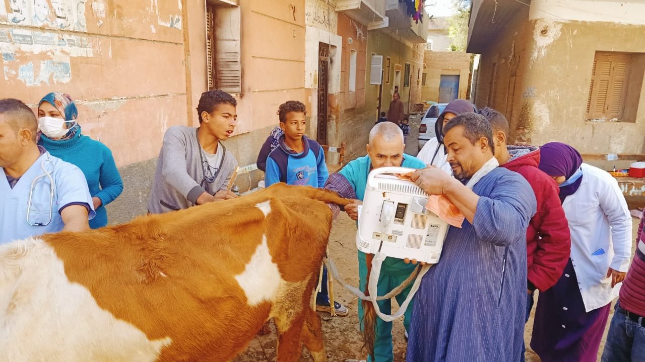 صورة ارشيفية 