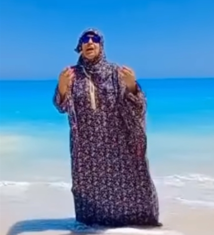 فيفي عبده 
