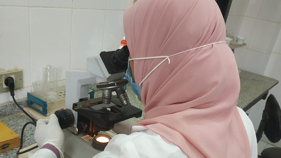 قوافل طبية بالغريية
