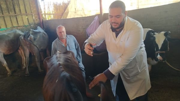 الحمى القلاعية