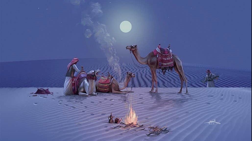 الاهتمام بتربية الإبل في سيناء 