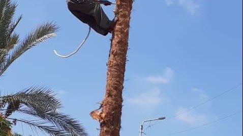  حملات لازالة القمامة