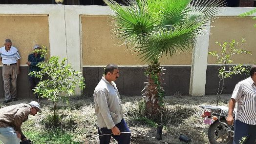 زراعة الشرقية