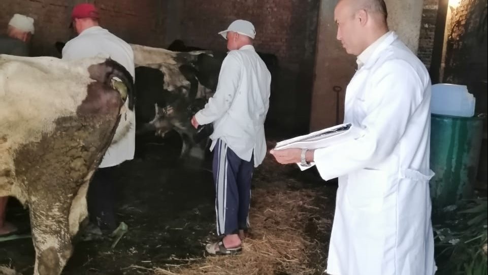 الطب البيطرى