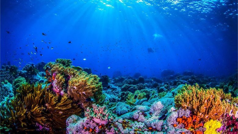صوره موضوعية