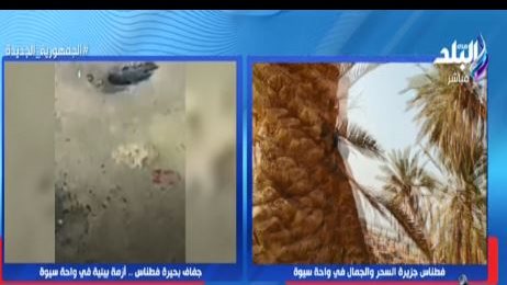  واحة سيوة