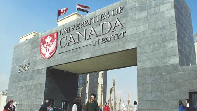 جامعة جزيرة الأمير إدوارد