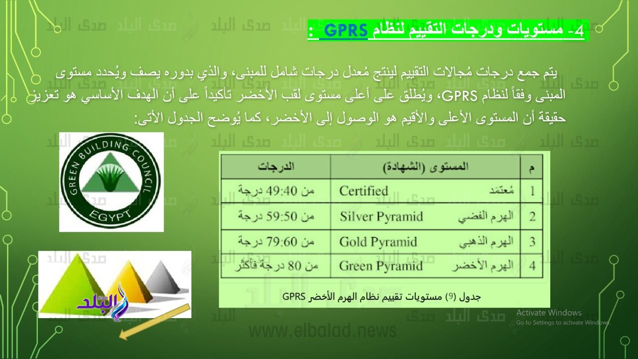 جامعة حلوان