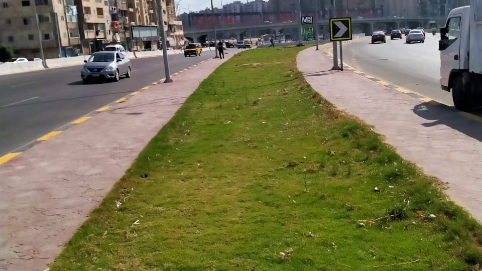 زراعة  17 ألف متر نجيل طبيعي بالإسكندرية زراعة  17 ألف متر نجيل طبيعي بالإسكندرية