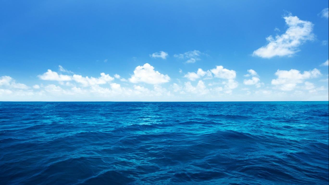 صورة موضوعية