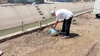 زراعة أشجار 
