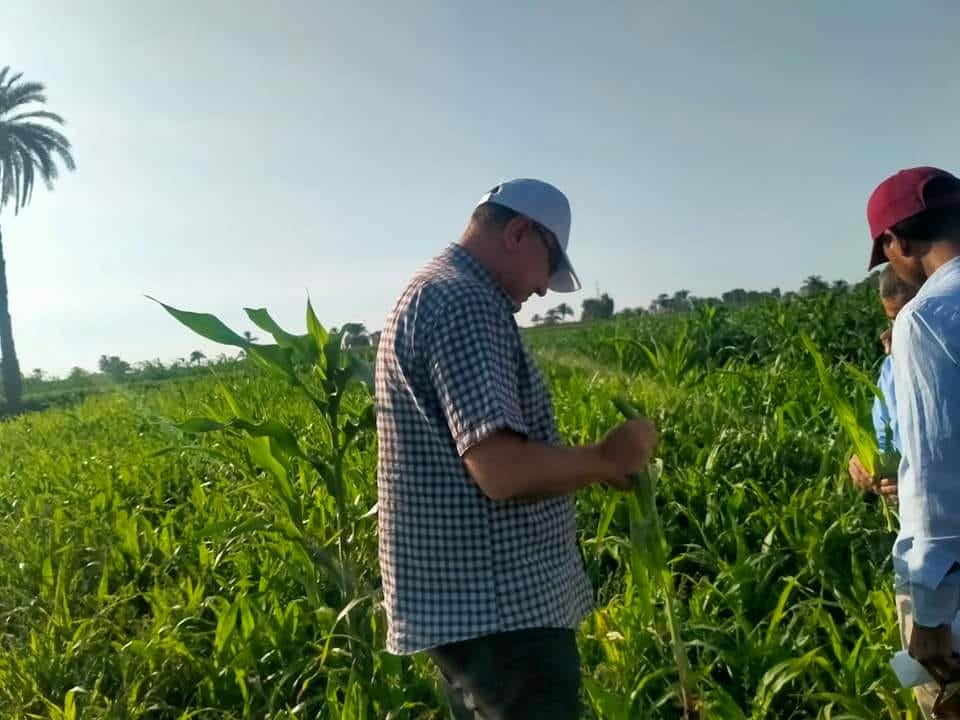 مكافحة الافات