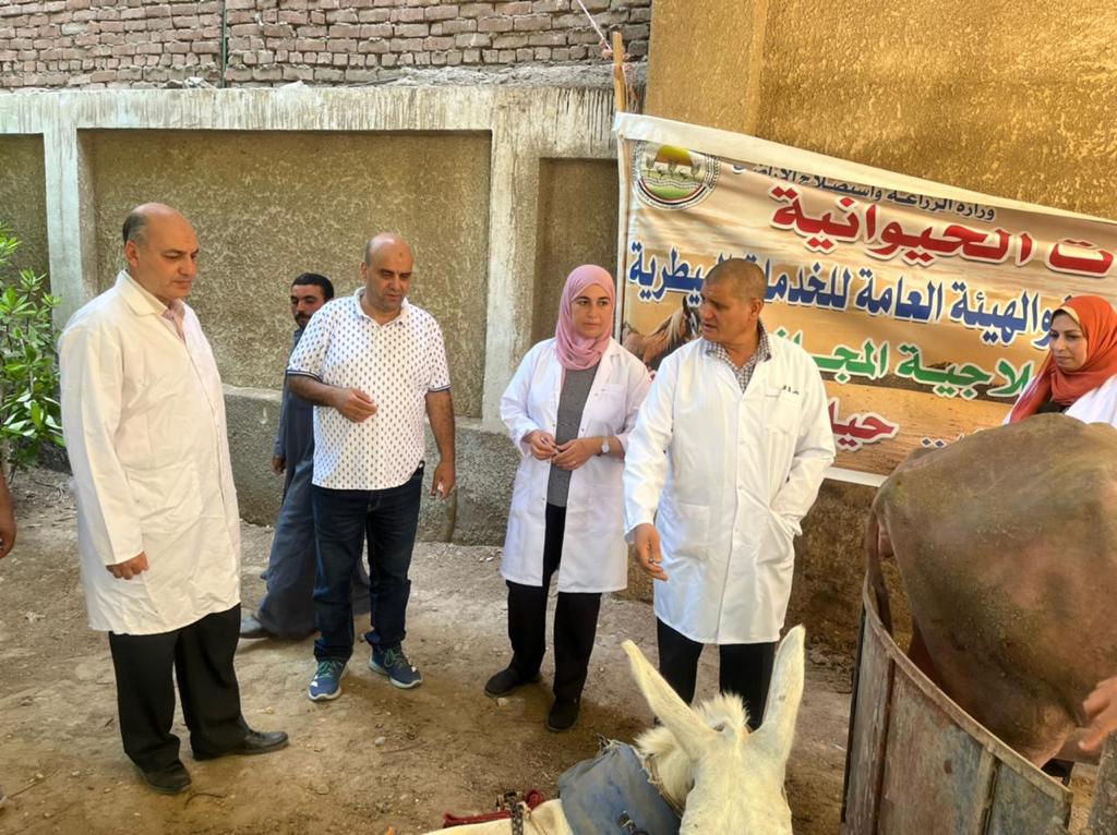 فحص وتحصين المواشي