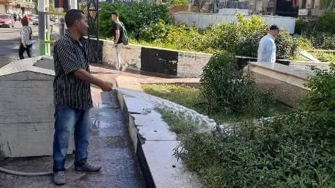 تشجير