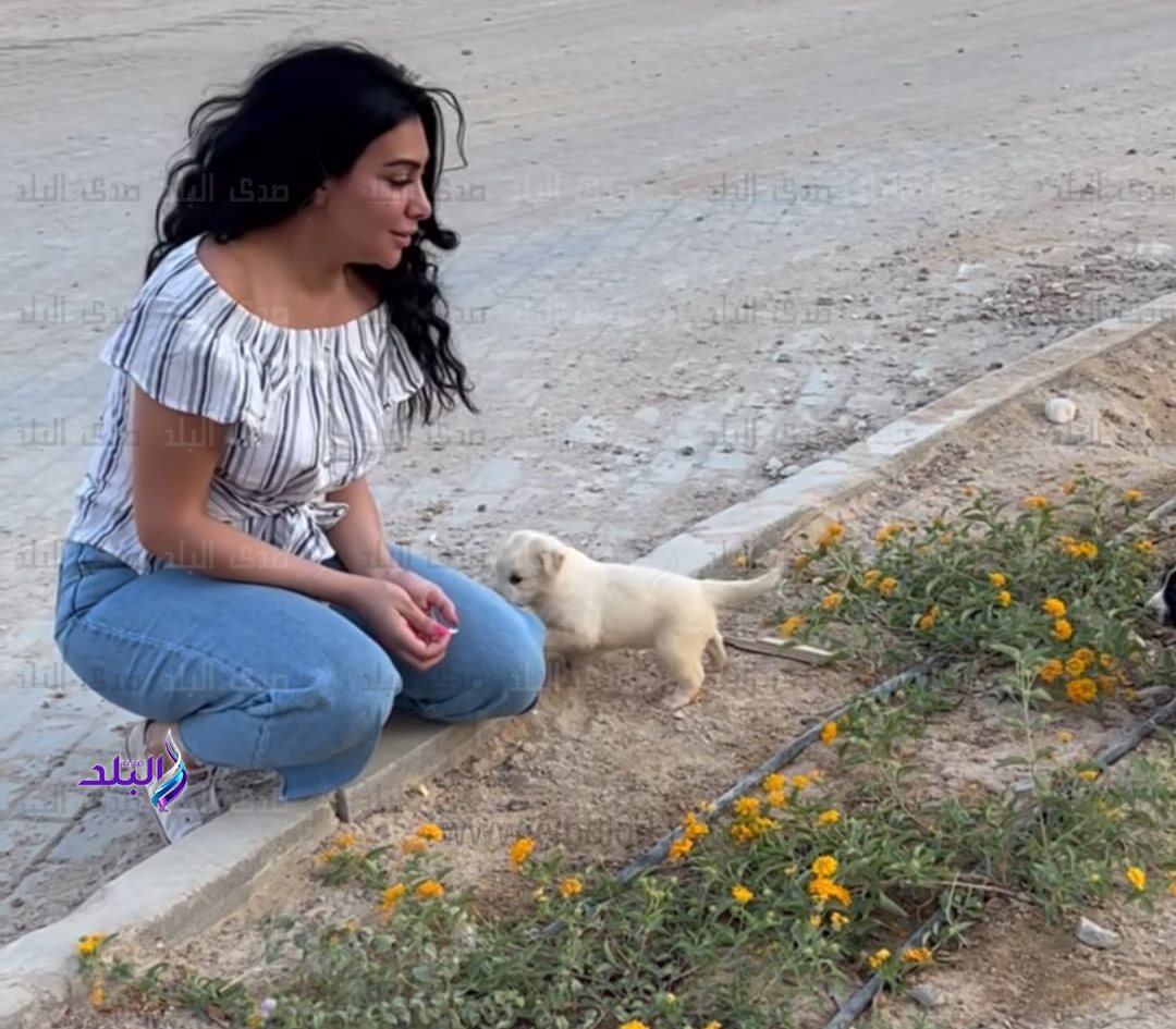 IMG_٢٠٢٢٠٨٢٨_١٧٠٧٣٧