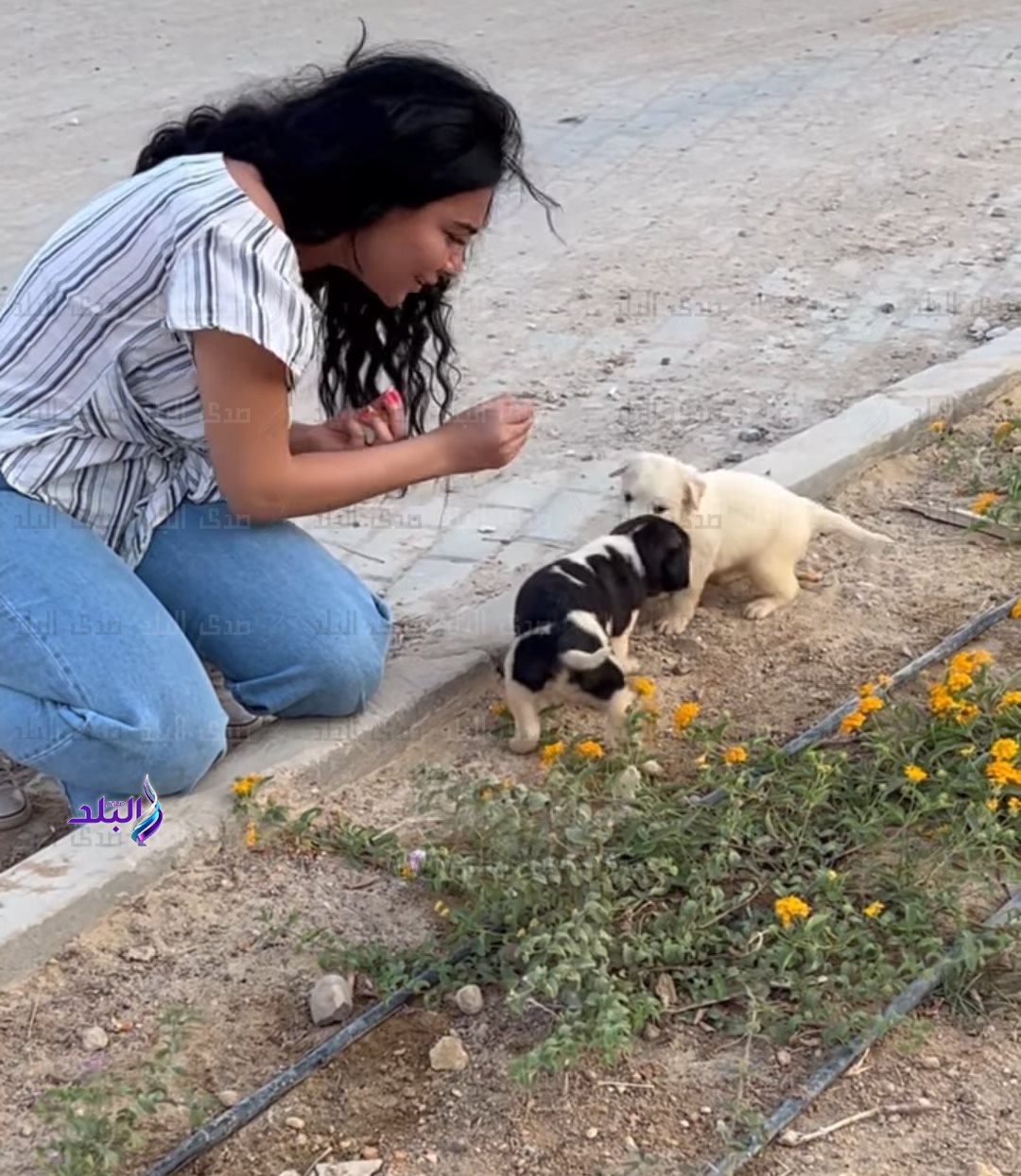 IMG_٢٠٢٢٠٨٢٨_١٧٠٧٢٨