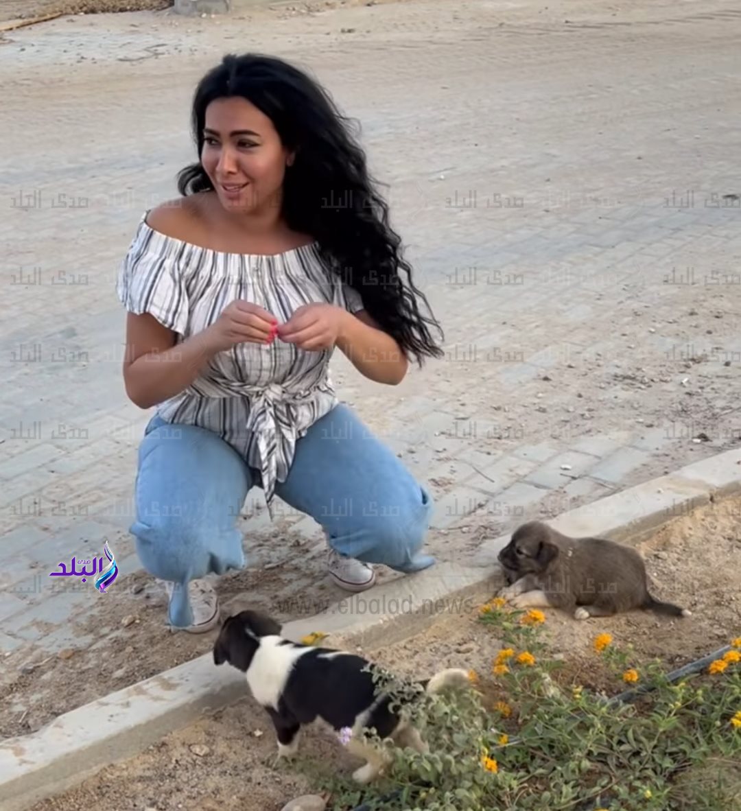 IMG_٢٠٢٢٠٨٢٨_١٧٠٧٠٢