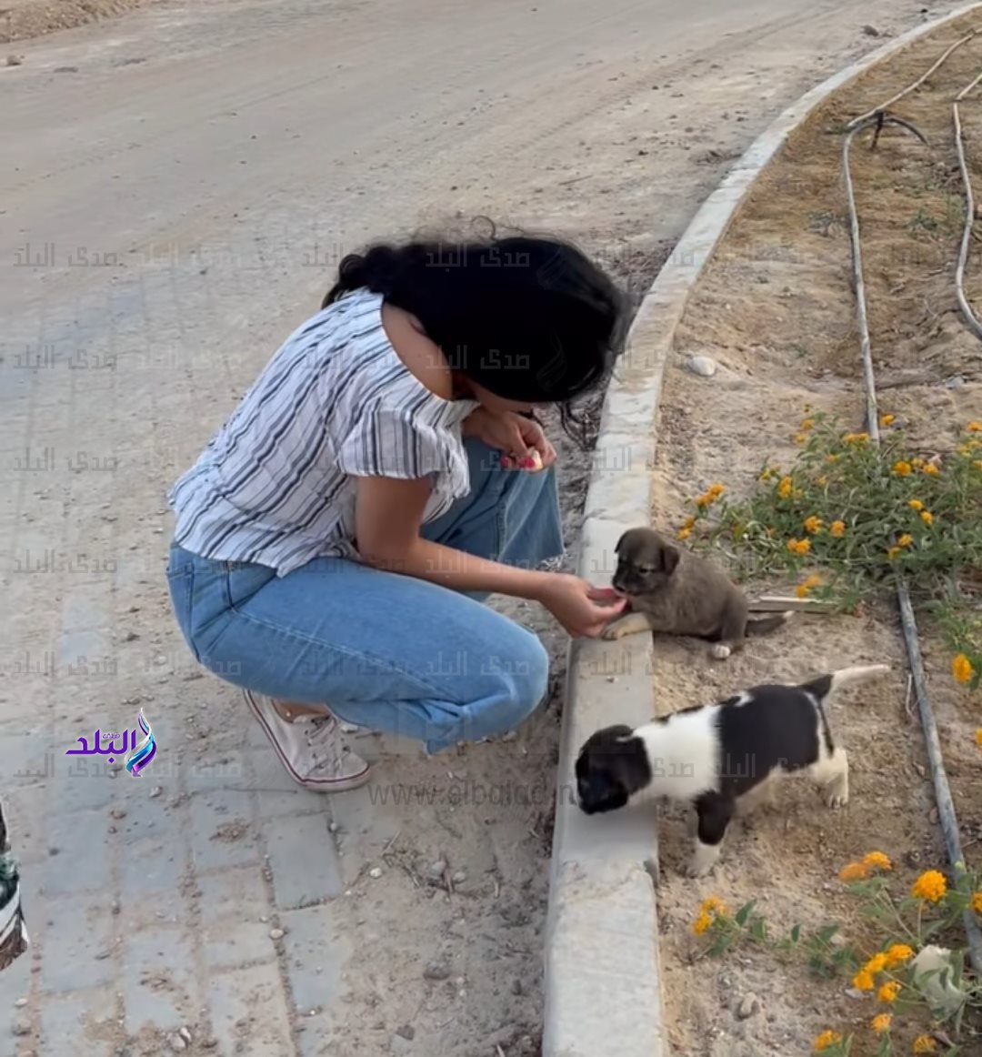 IMG_٢٠٢٢٠٨٢٨_١٧٠٦٢٣