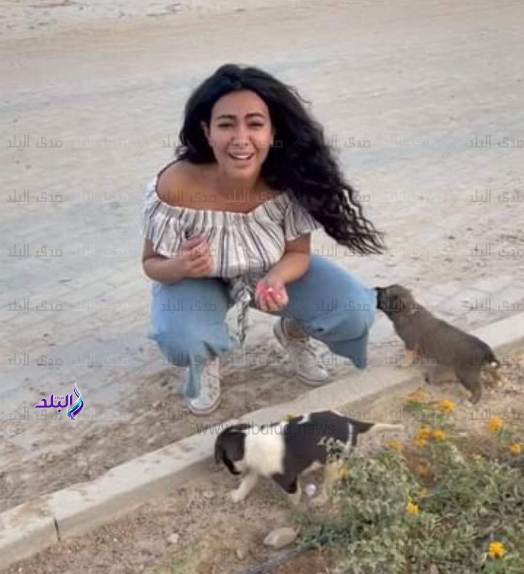 IMG_٢٠٢٢٠٨٢٨_١٧٠٦٠٧