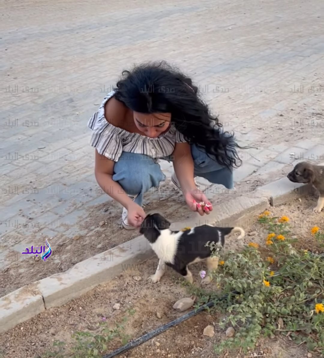 IMG_٢٠٢٢٠٨٢٨_١٧٠٥٥٩