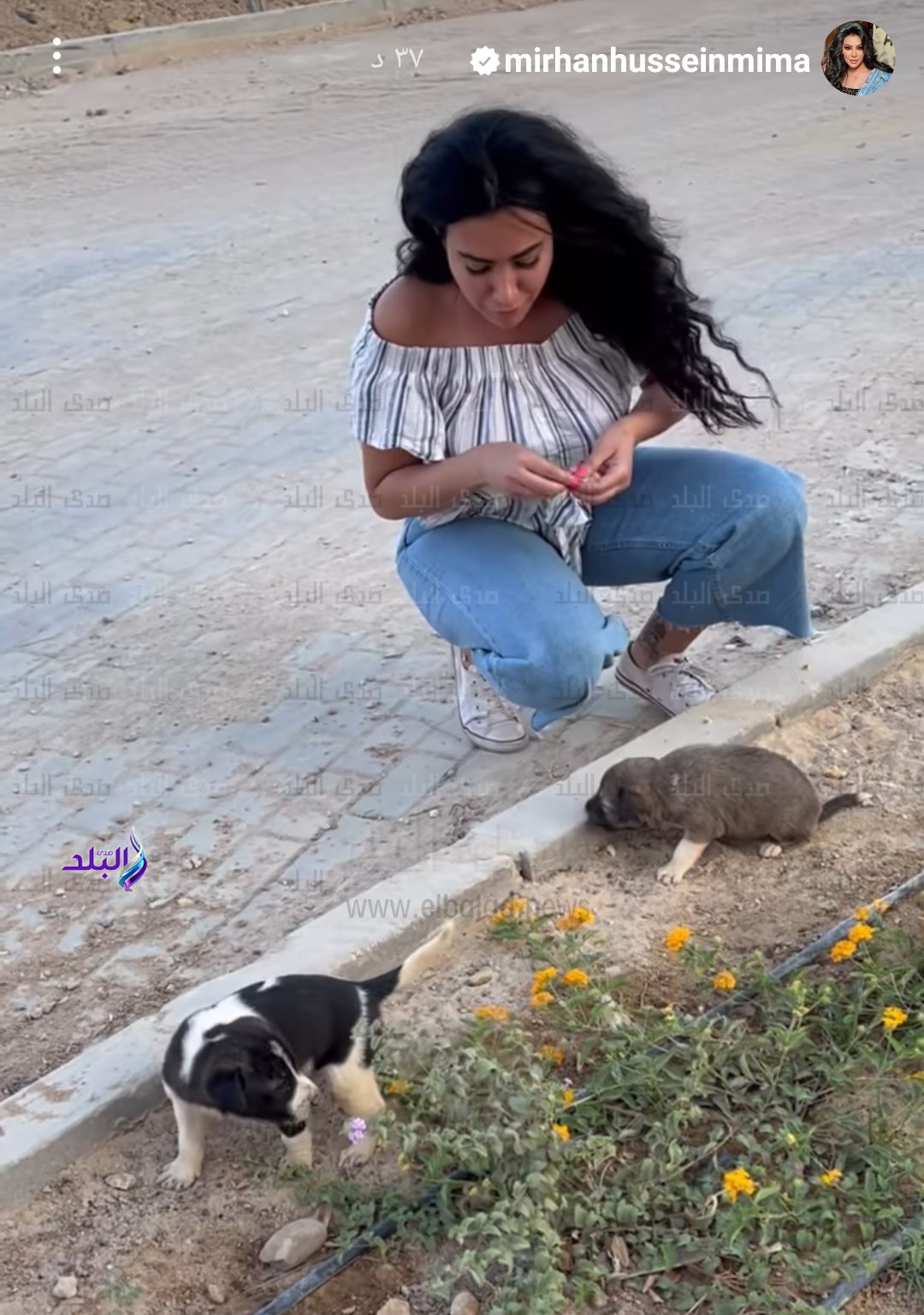 IMG_٢٠٢٢٠٨٢٨_١٧٠٥٥٠