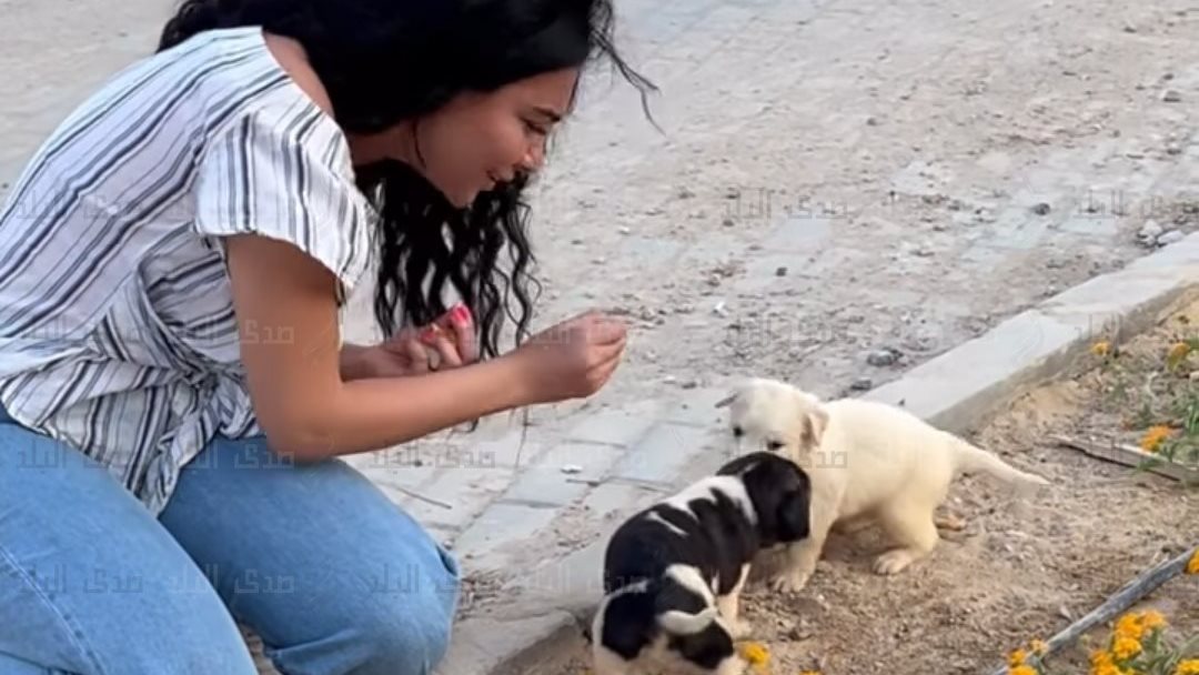 ميرهان حسين 