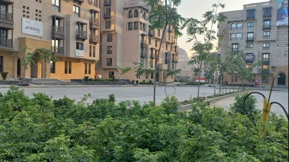 C265EF06-1E02-4962-9A27-690CC6678FA7