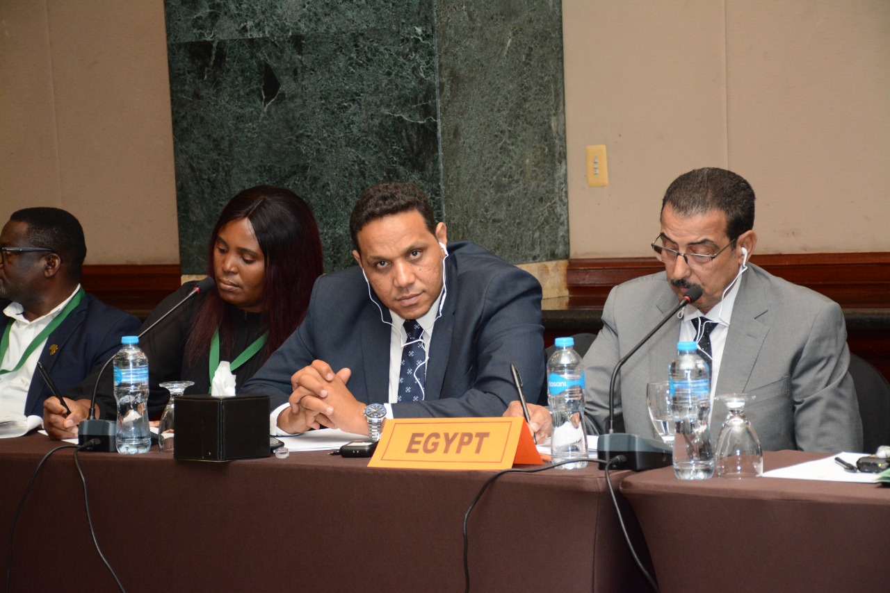 الدورة العادية الرابعة لوزراء التنمية المحلية الأفارقة 