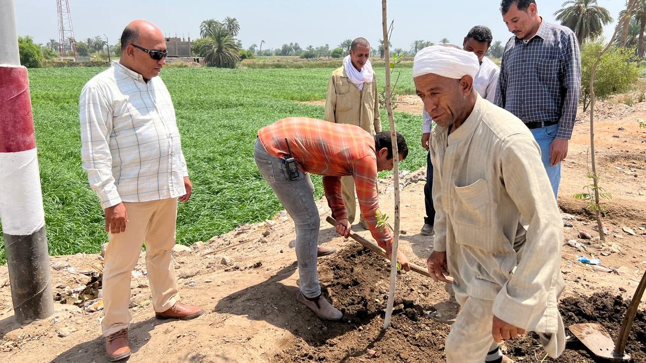 تشجير طريق مسار رحلة العائلة المقدسة بأسيوط 