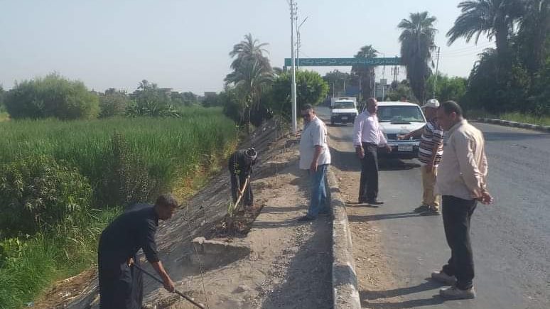 زراعة 100 مليون شجرة بالمنيا 