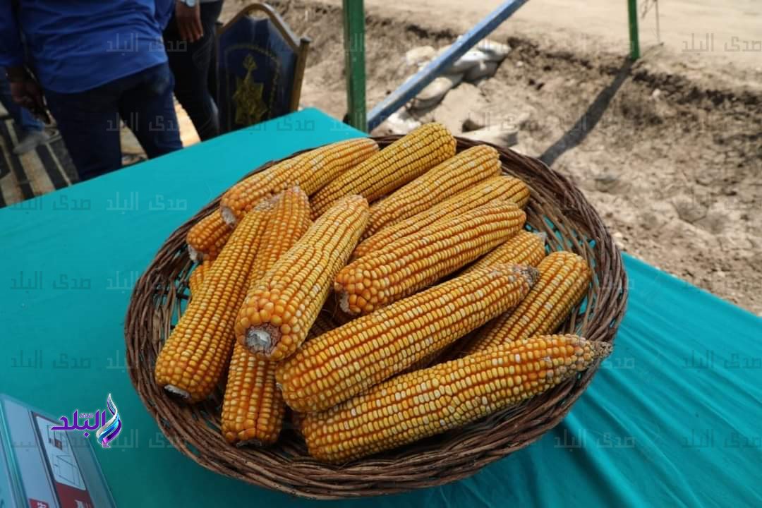 FB_IMG_1661814876025