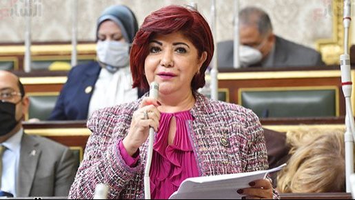 النائبة نورا علي،رئيس لجنة السياحة والطيران المدني بالبرلمان