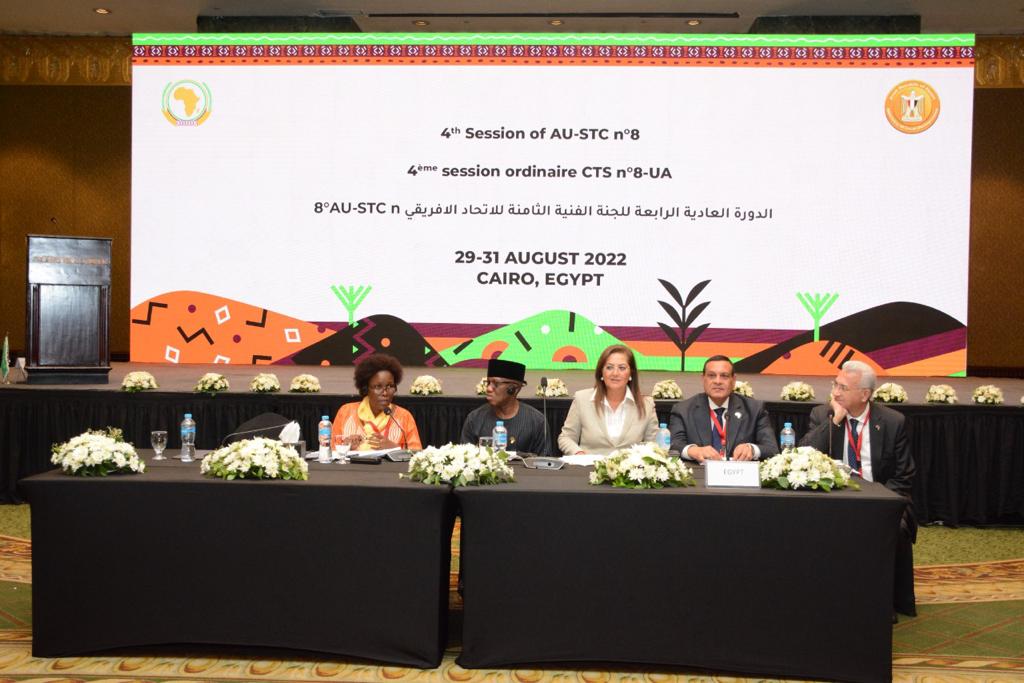 الدورة العادية الرابعة لوزراء التنمية المحلية الأفارقة 