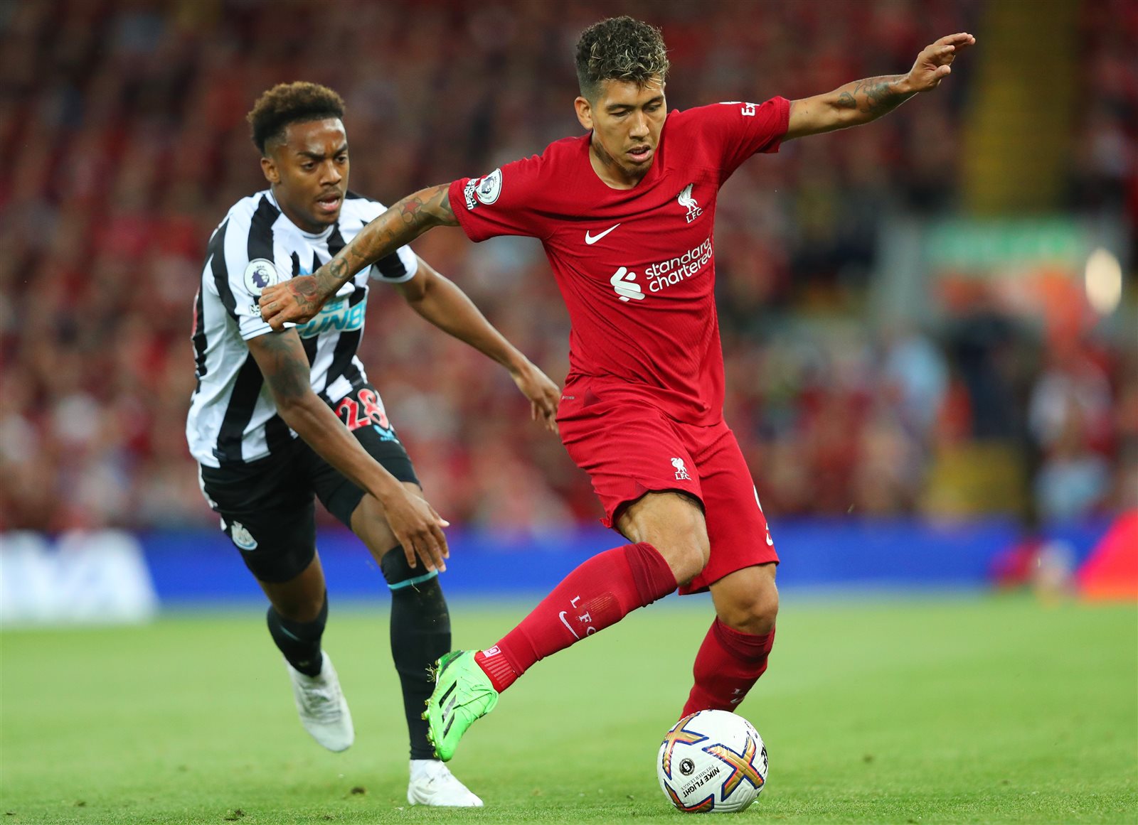 ليفربول ونيوكاسل يونايتد
