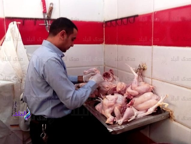 Screenshot_٢٠٢٢٠٩٠٢-٠٧٠٥١٦_Gallery