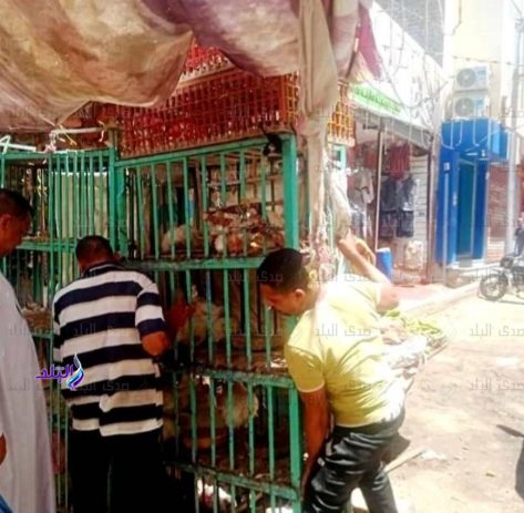 Screenshot_٢٠٢٢٠٩٠٢-٠٧٠٥٠٢_Gallery