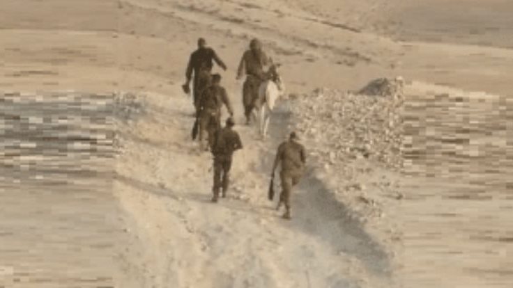إسرائيل تعتقل حمارًا
