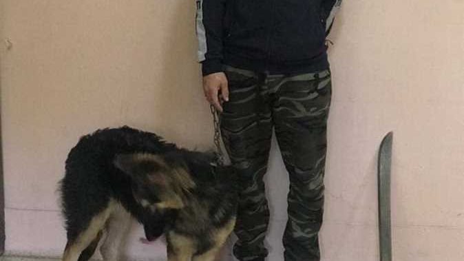 رجل يصطحب كلب